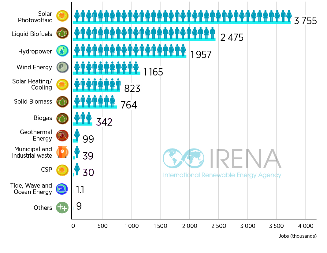 Renewable Energy Employment by Technology